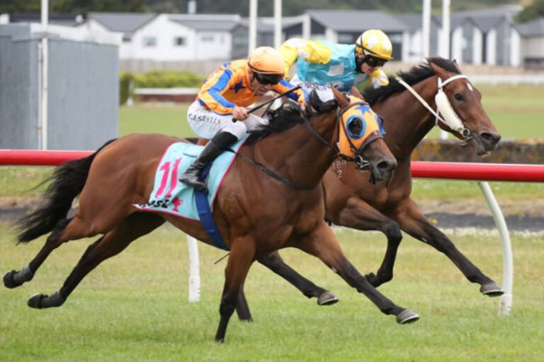 Strategic Resilience: La Dorada Filly Back in the Winner’s Circle